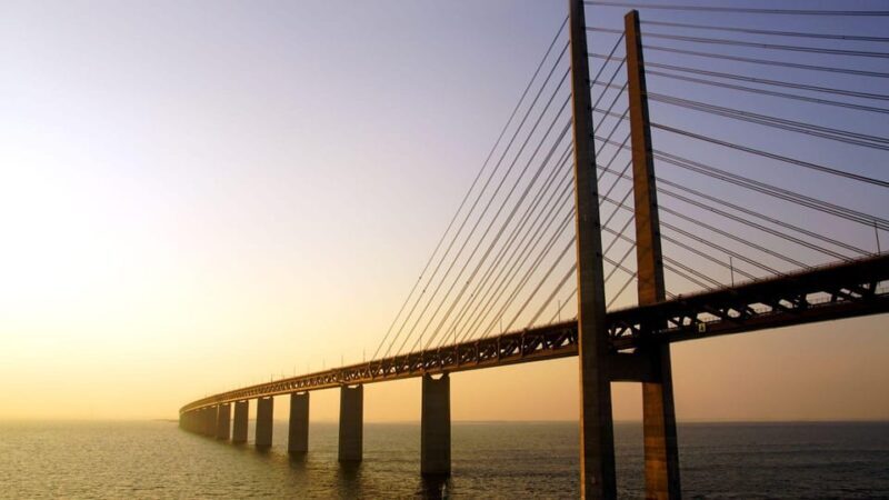 Best of Malmö: Private Walking Tour with a Local - Key Points