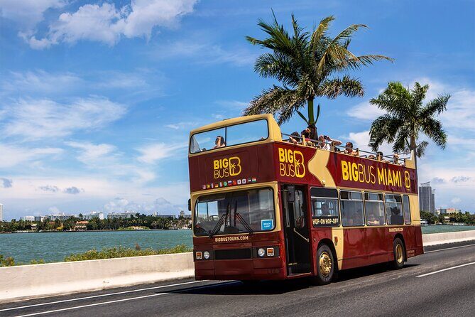 Best of Miami Combo: Everglades, Bay Cruise, & Open-top Bus Tour - Final Thoughts: Is This Tour Right for You?
