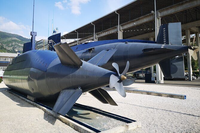 Best of Montenegro PRIVATE Tour by CRUISER TAXI DUBROVNIK - Who Should Book This Tour?