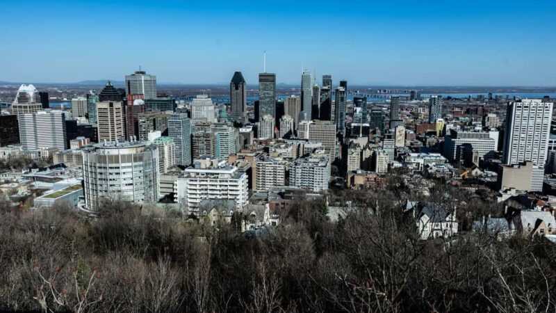 Best of Montréal: Private Walking Tour with a Local - Key Points