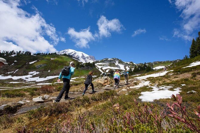 Best of Mount Rainier National Park from Seattle: All-Inclusive Small-Group Tour - Price and Overall Value