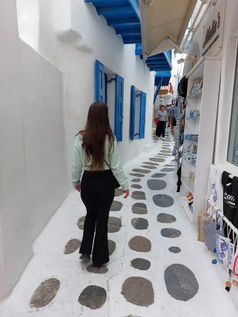 Best of Mykonos island 4 hours private tour - Final Thoughts