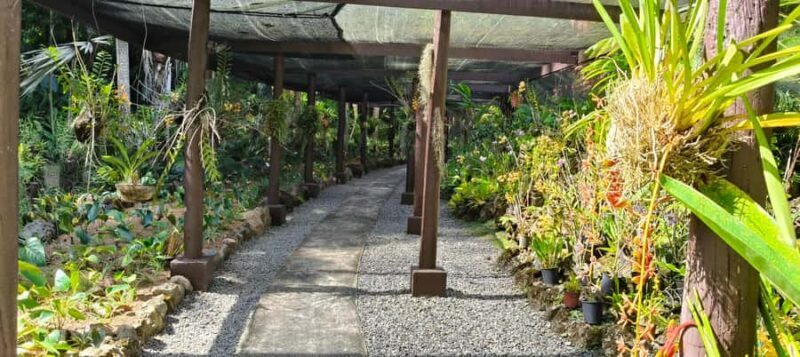 Best of Nadi Highlights - What You Can Expect from the Tour