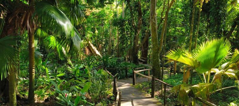 Best of Nadi Highlights - Who Will Love This Tour?