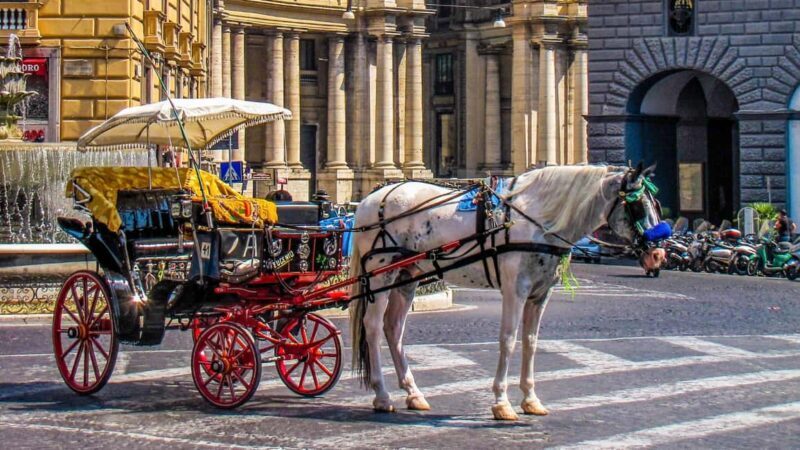 Best of Naples: Private Walking Tour with a Local - Final thoughts