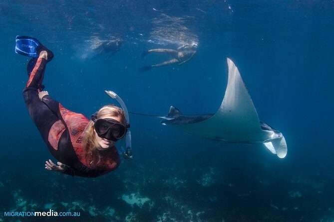 Best of Ningaloo Mantas and More - Why People Rave About This Tour