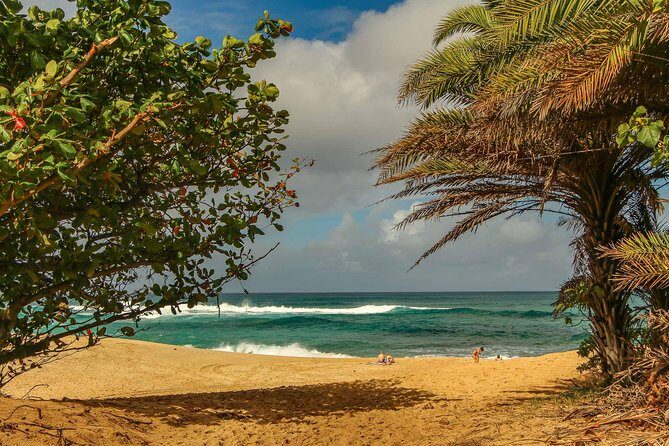 Best of Oahu: Pearl Harbor & Oahu Circle Island Tour from Waikiki - FAQs