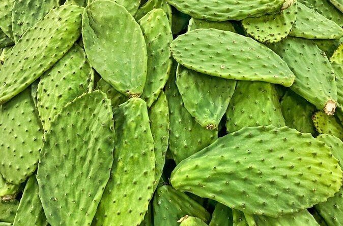 Best of Roma Sur Food Crawl in Mexico City - Who Is This Tour Ideal For?