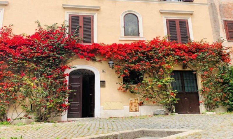 Best of Rome City Center Walking tour & Hop on Hop Off Bus - The Practicalities