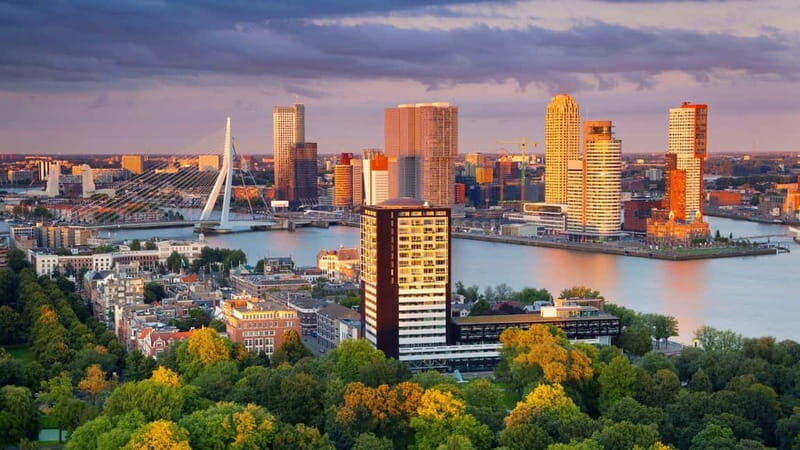 Best of Rotterdam: Private Walking Tour with a Local - Key Points