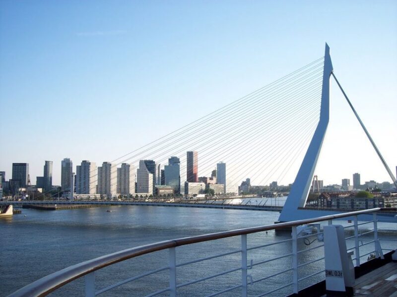 Best of Rotterdam: small-group walking tour - Key Points