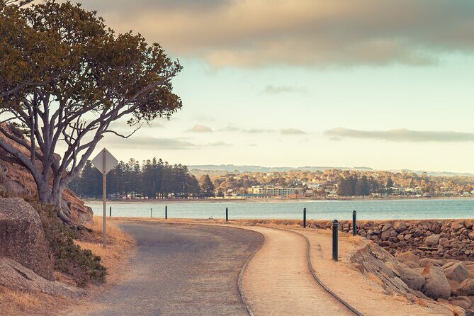 Best of SA, Hahndorf , Victor Harbor & d'arenberg 'Cube' Tour - Who Would Love This Tour?