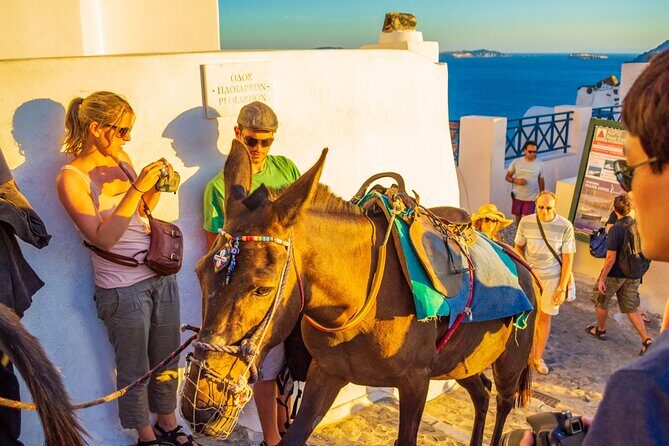 Best of Santorini Full Day Private Trip From Mykonos - The Real-World Insights from Travelers