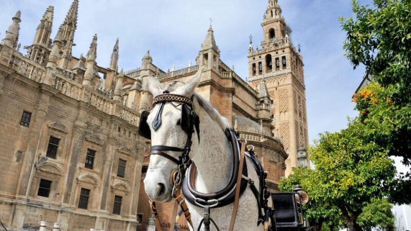 Best of Seville: Private Walking Tour with Local - The Value of a Private Guide