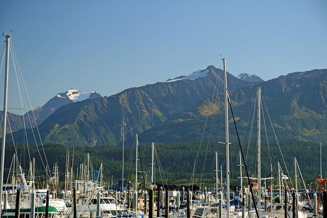 Best of Seward Alaska Full Day Tour - A Detailed Look at the Seward Full Day Tour