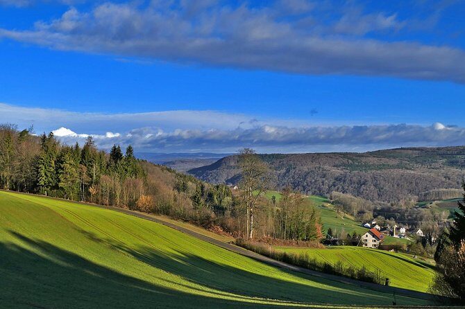 Best of the Black Forest and Rhinefalls from Zurich - Exploring the Black Forest and Rhinefalls from Zurich: An Honest Look
