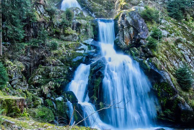 Best of the Black Forest and Rhinefalls from Zurich - Key Points