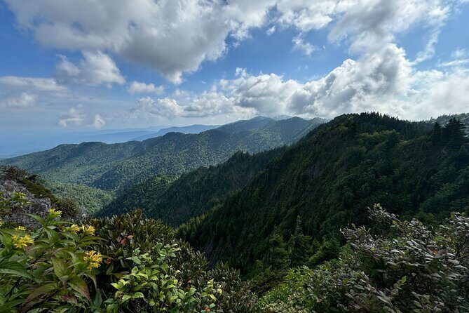 Best of the Smokies Custom Private Tour - The Value of a Personalized Day in the Mountains