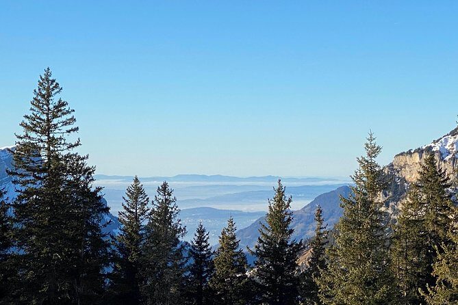 Best of the Uri Alps: A fjord-like lake, glorious peaks and sustainable tourism - What to Expect from This Uri Alps Tour