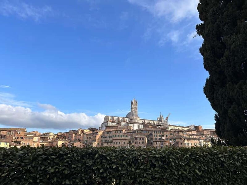 Best of Tuscany: San Gimignano, Siena, Pisa Small Group - Who Is This Tour Best For?
