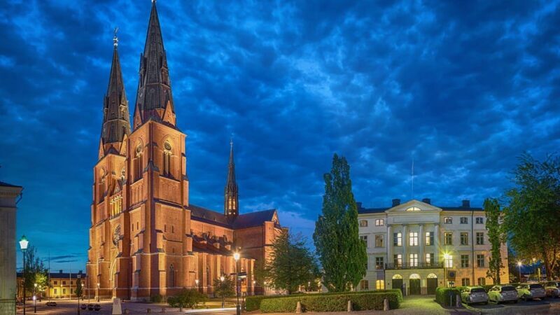 Best of Uppsala: Private Walking Tour with a Local - The Experience: Pros and Cons