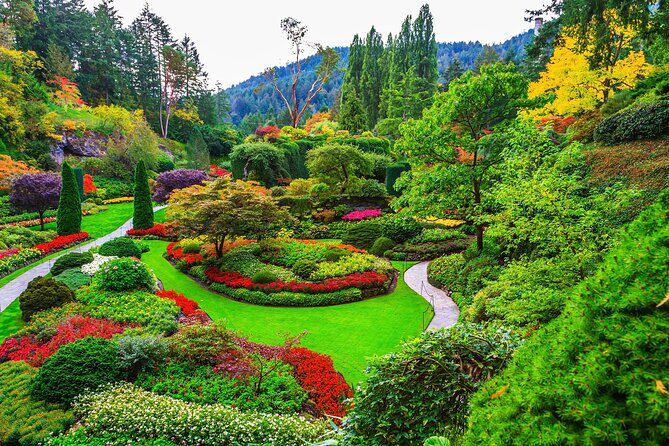 Best of Victoria Group Tour w/ Malahat Skywalk & Butchart Gardens - The Itinerary and What to Expect