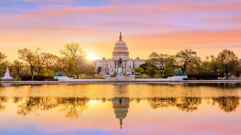 Best of Washington: Private Walking Tour with a Local - Key Points