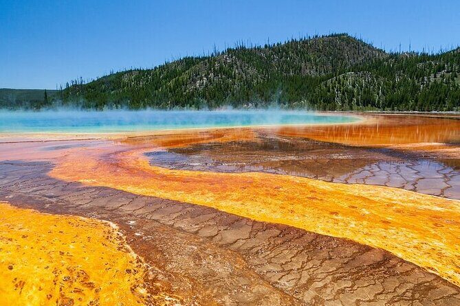 Best of Yellowstone Tour from Paradise Valley - Private Tour - What’s Included and What to Expect