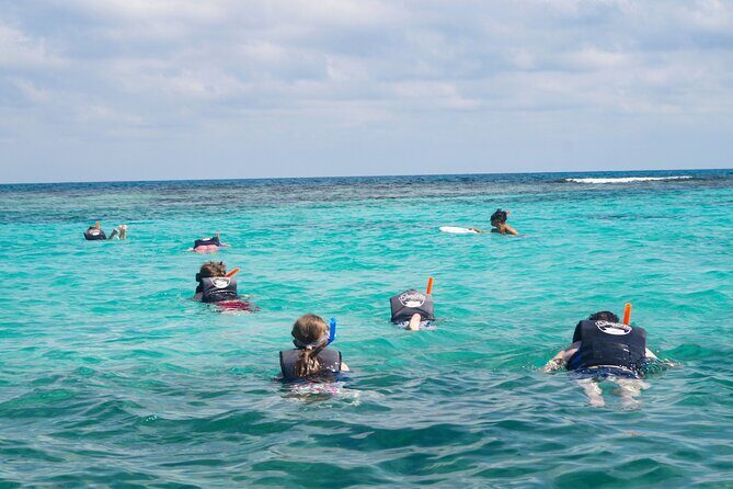 Best SpeedBoat and Snorkeling tour with Transfer from Cancun - A Detailed Look at the Experience