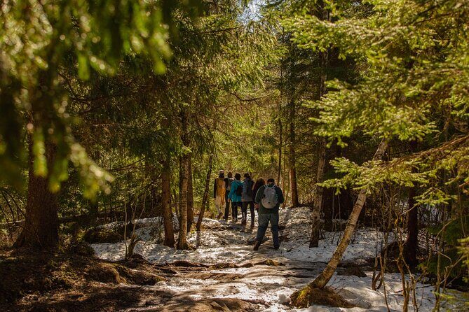 Best View of the Oslofjord Hike - Who Should Consider This Tour?