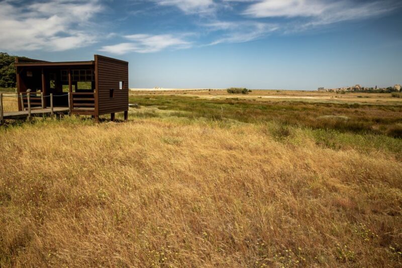 Best views to Porto from Gaia. VW Kombi tour with cocktail - The experience: what it feels like