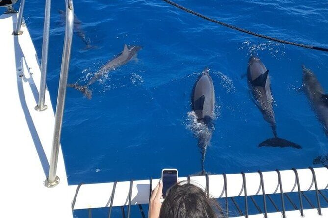 Best Waikiki Sunset Cruise:BYOB Sunset Sail with Swimming - Key Points