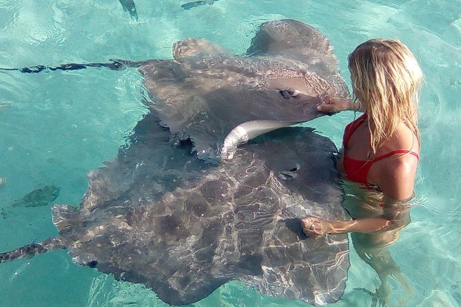 Best Way to Interact with Ocean Wildlife with Lunch. 6H - Frequently Asked Questions