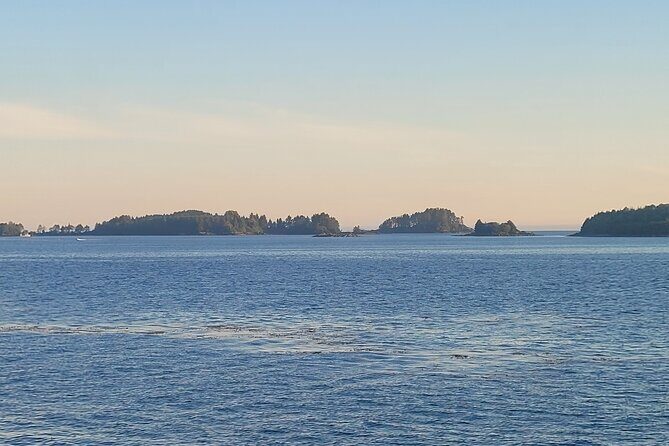 Best Whale Watching and Wildlife Shore Excursion in Sitka - FAQ