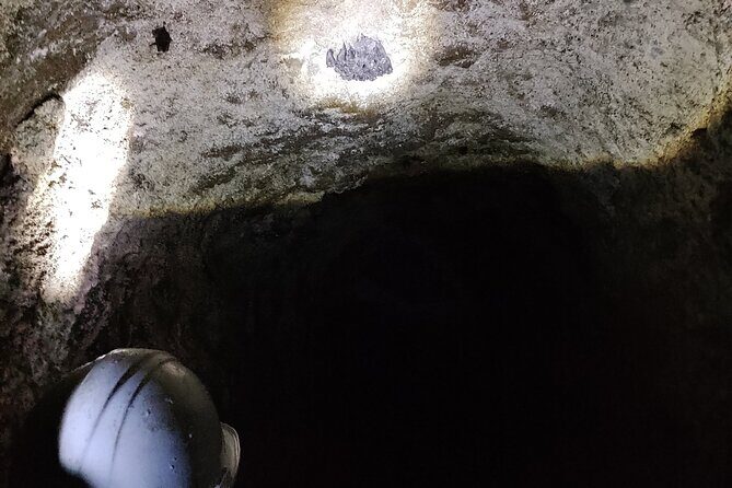 Between Tunnels and Bats - What to Expect from the Experience