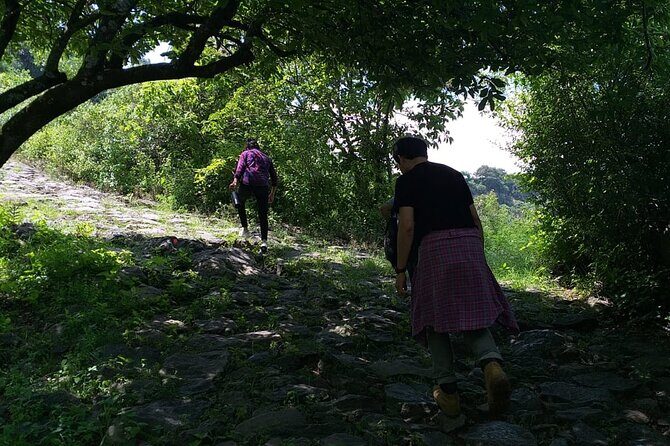 Between Tunnels and Bats - Final Thoughts