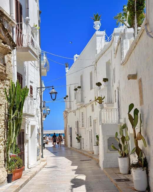 Between Villages and Waves: Monopoli, Ostuni & Polignano by boat - Final Thoughts