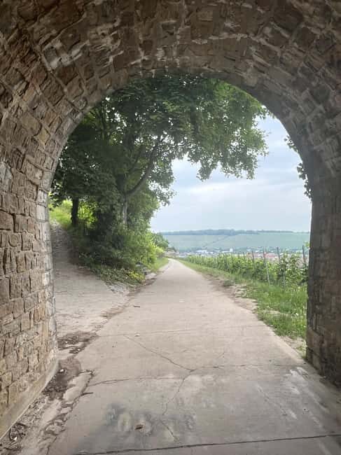 Between vines and the royal city  enjoy Würzburg wine with a view - Key Points