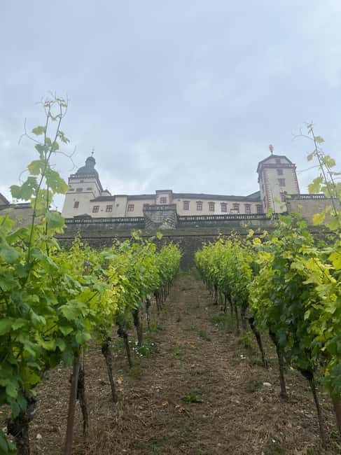 Between vines and the royal city  enjoy Würzburg wine with a view - The Itinerary: What You Can Expect