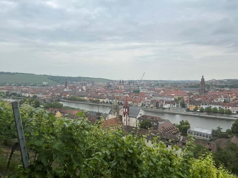 Between vines and the royal city  enjoy Würzburg wine with a view - Possible Drawbacks and Considerations