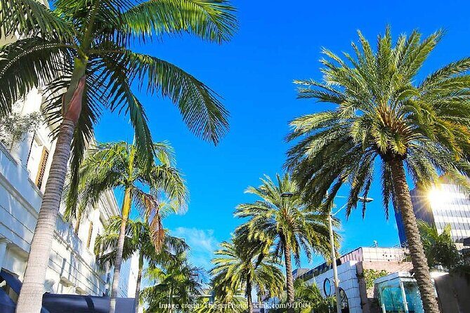 Beverly Hills & Rodeo Drive: Private 2-hour Walking Tour - Final Thoughts