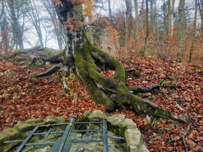 Beyond Brno: Secrets of Moravian Nature - Half-Day Tour - FAQ