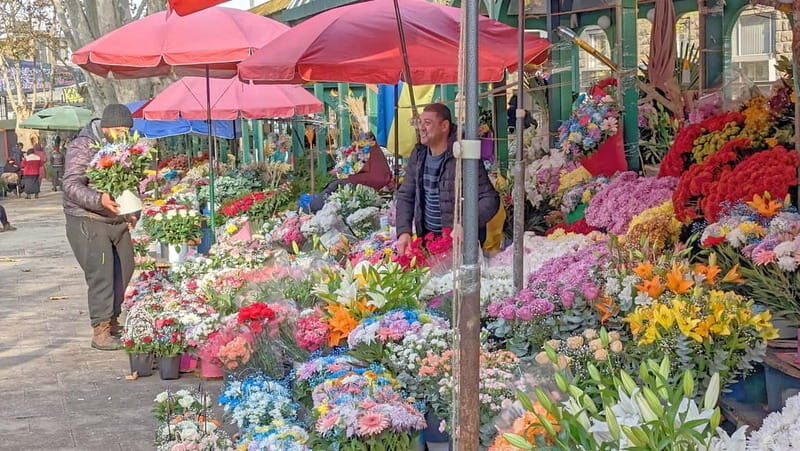 Beyond the Old City: Tbilisi's Hidden Gems Walking Tour - What’s Included & Practicalities