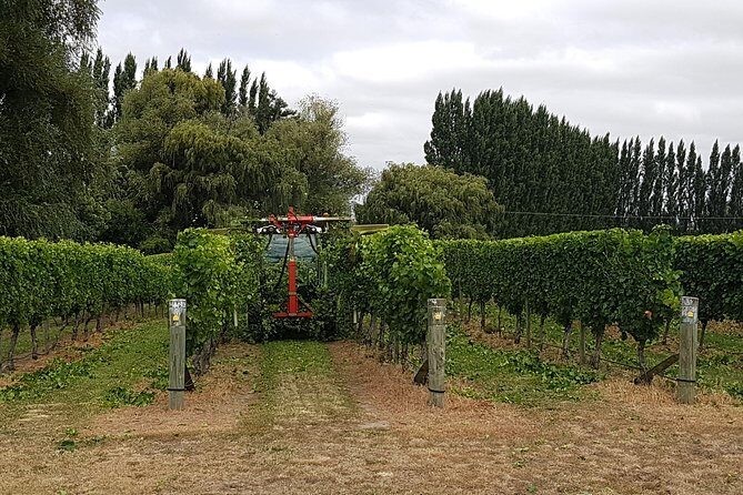 Beyond the Vines - Full-Day Marlborough Wine Tasting Tour - Who Would Enjoy This Experience?