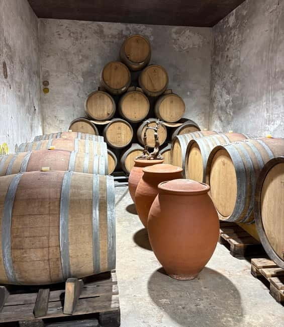 Béziers: Wine and Oyster Tasting Tour at Thau lagoon - An In-Depth Look at the Tour