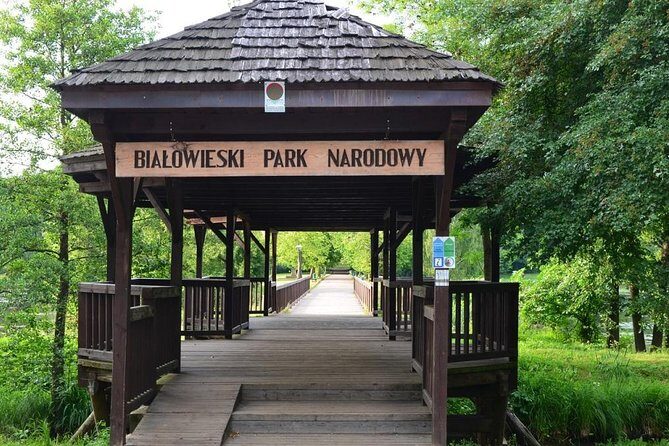 Bialowieza National Park Small Group Tour from Warsaw with Lunch included - Who Is This Tour Best For?
