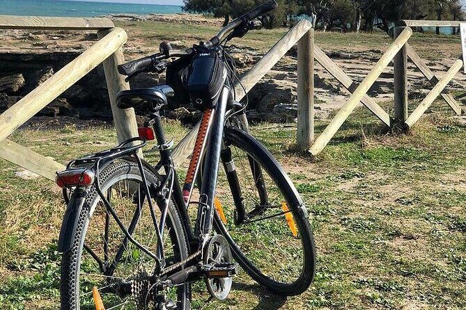 Bicycle Rental in Lecce - What to Expect from the Bike Rental