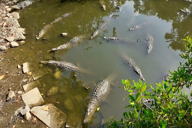 Bicycle Tour in Ixtapa - Who Will Love This Tour?
