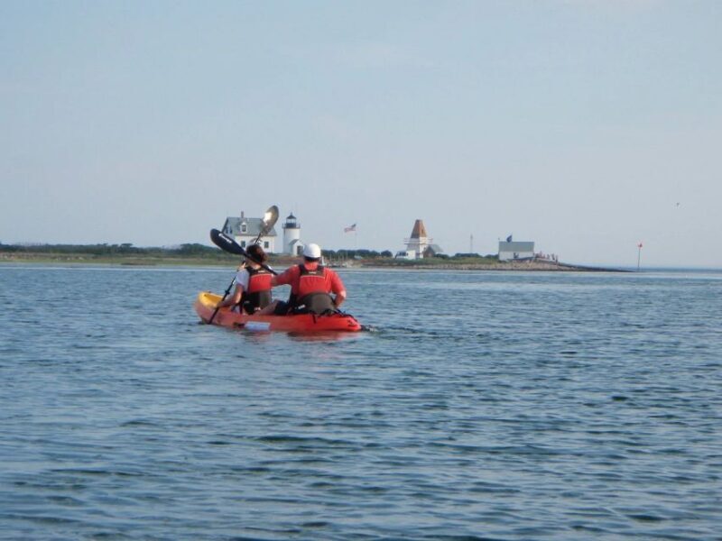 Biddeford Pool: Half Day Kayak or SUP Rental - Introduction