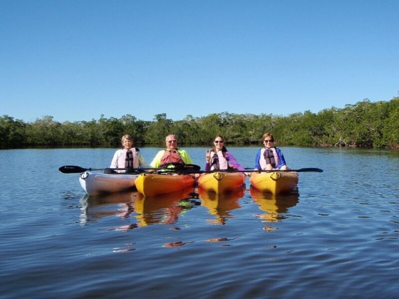 Biddeford Pool: Half Day Kayak or SUP Rental - What You Get and What to Expect